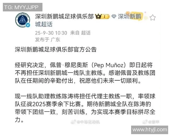 陈涛在足球赛场上的辉煌历程与未来发展展望